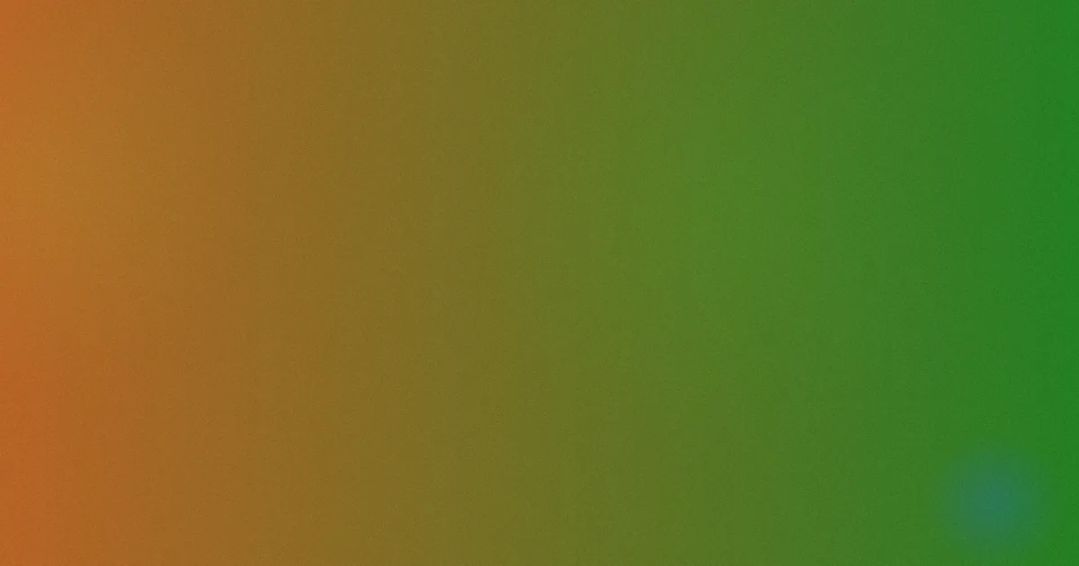 旺角揸fit人推荐：新手怎么选